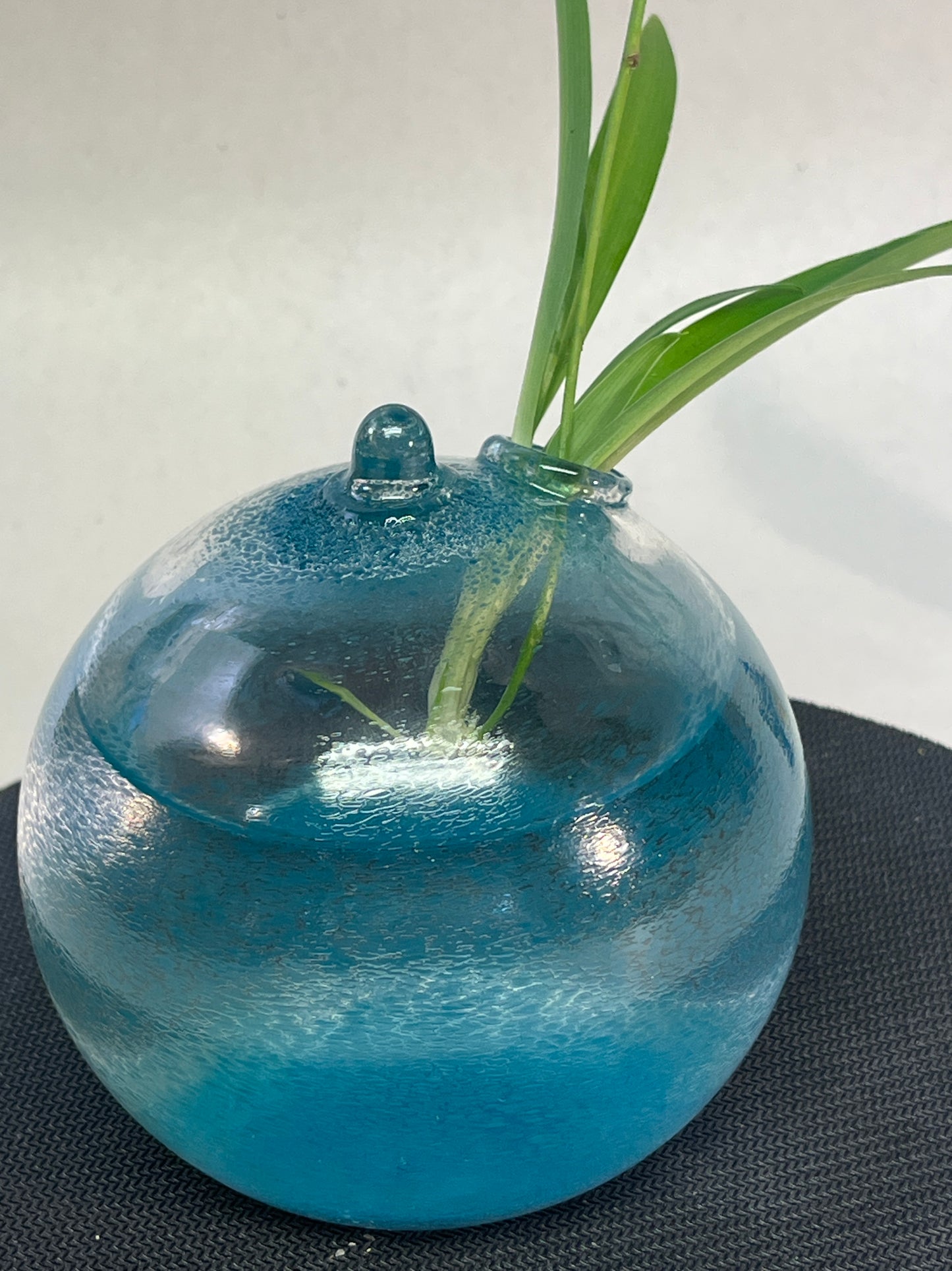 Rooter Ball