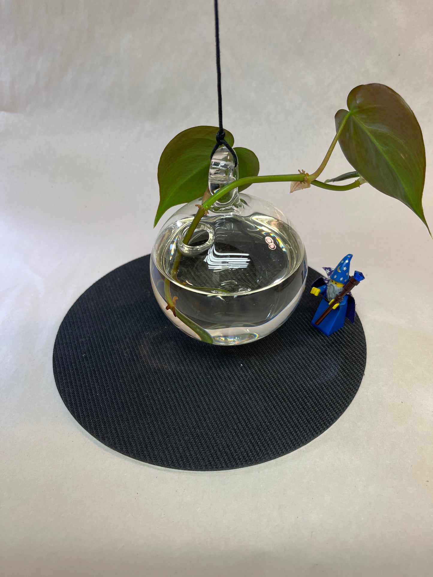 Clear Glass Plant Rooter Ball