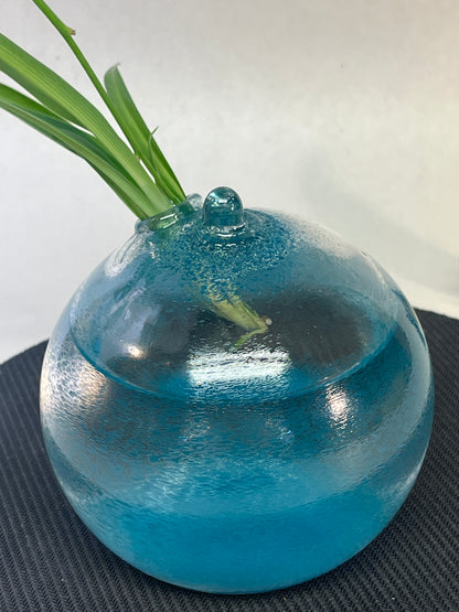 Rooter Ball
