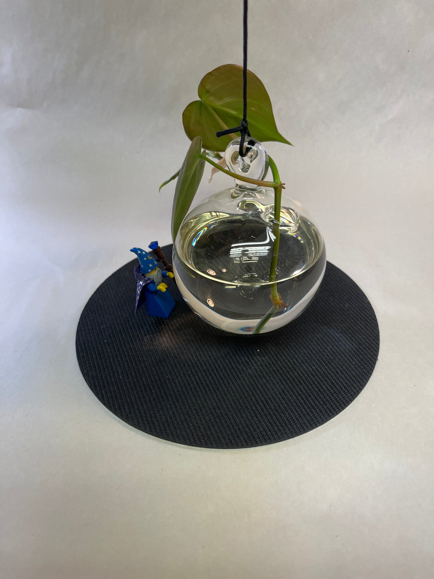 Clear Glass Plant Rooter Ball
