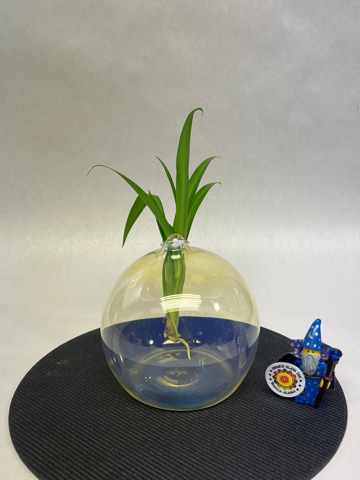 Rooter Ball