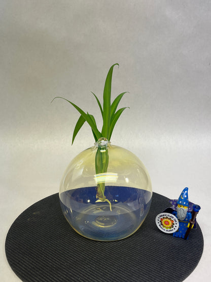 Rooter Ball