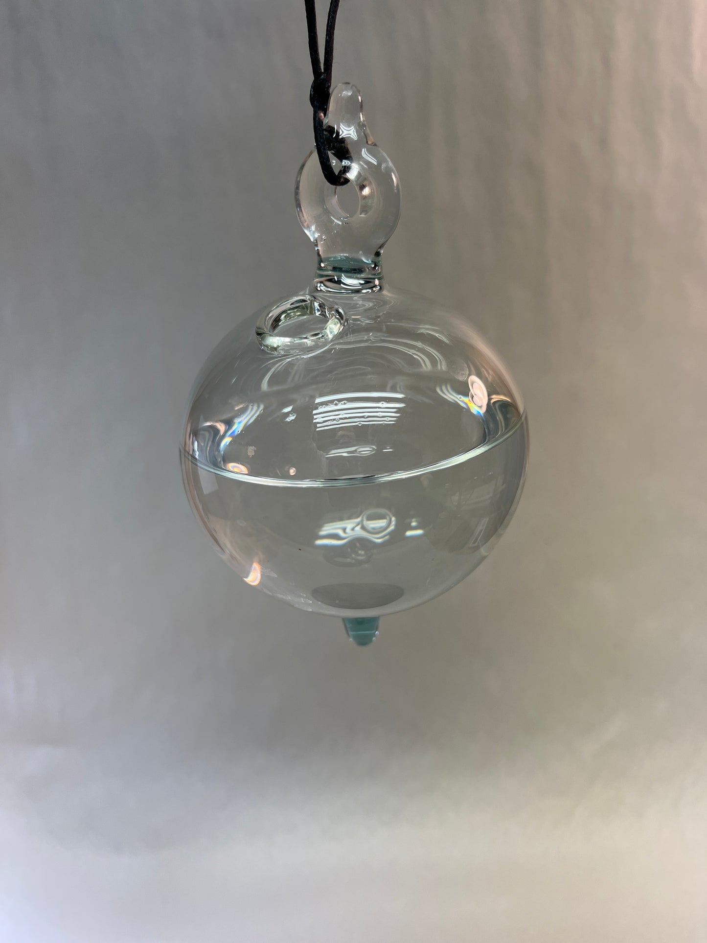Clear Glass Plant Rooter Ball