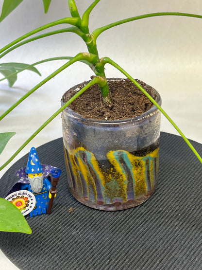 Planter with a plant